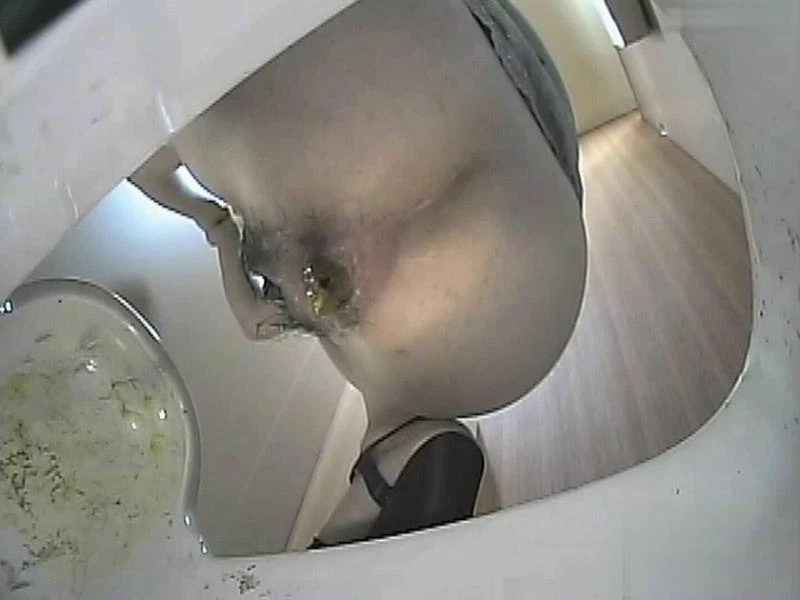 Japanese toilet voyeur. Bottom view excretion Uncensored - BFJP-93 - SD (2024)